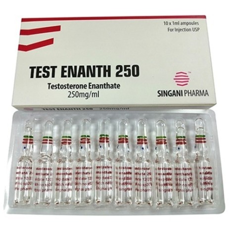 Test E 250 SINGANI PHARMA